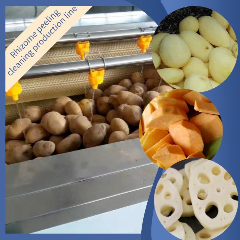 Root and Stem Peeling and Cleaning Production Line / 2