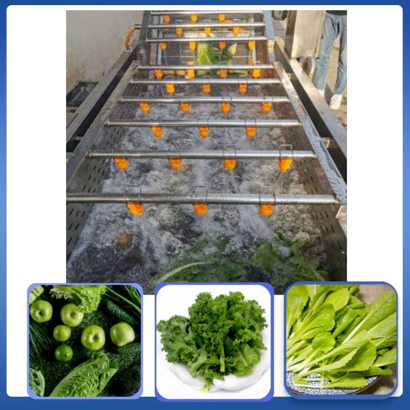 Fruit and vegetable cleaning processing equipment automatic production line spot vegetable cleaning machine / 1