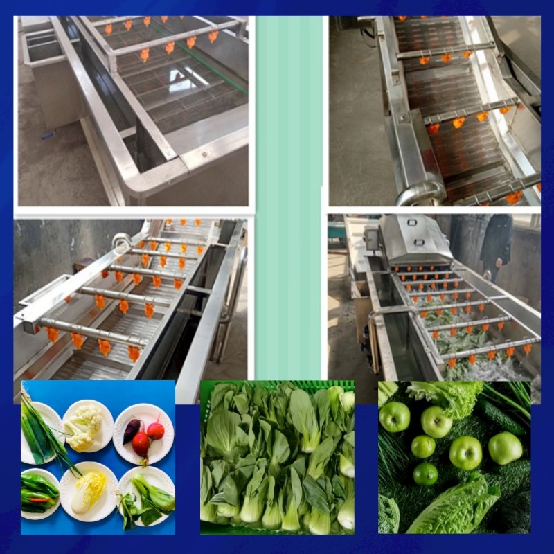 Fruit and vegetable cleaning processing equipment automatic production line spot vegetable cleaning machine / 5