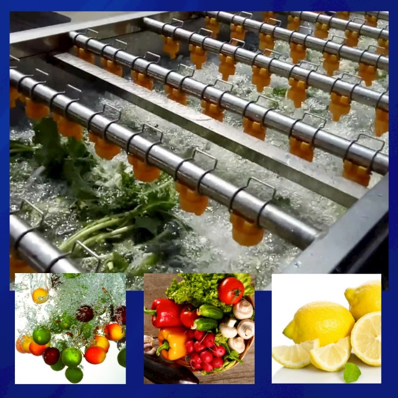 Automatic spray type fruit and vegetable washing drain air drying line / 2